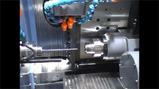 SANAX-8