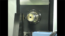 SANFLEX-8