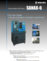 SANAX-6