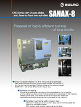 SANAX-8